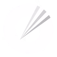 1d12ec_213f2d035f784baab1183227467b516f~mv2